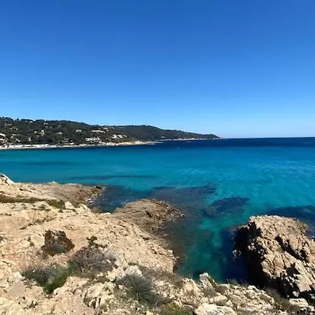 Apartment Lumineux T3 Avec Vue Dans Le Centre Historique